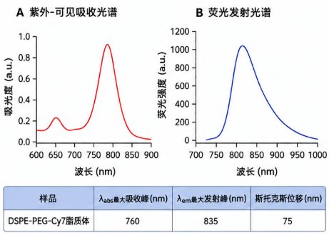 DSPE-PEG末端功能化定制|荧光/生物素/NHS活性酯