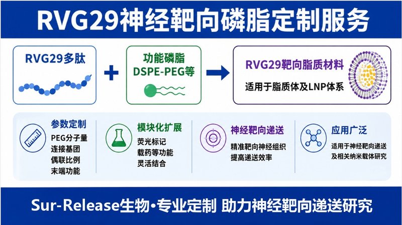 神经靶向RVG29-磷脂偶联物定制,支持脂质纳米载体构建