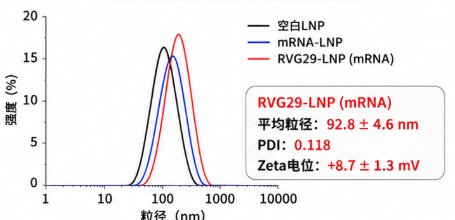 神经靶向RVG29-磷脂偶联物定制,支持脂质纳米载体构建