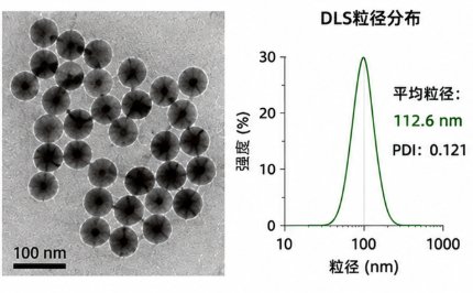 荧光/磁响应纳米金定制(多模态成像探针材料)