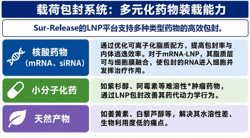 荧光染料标记脂质纳米粒（LNP）定制，支持Cy5、Cy7、DiD、BODIPY、FITC等