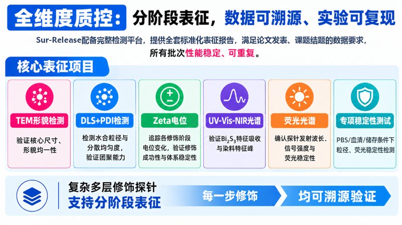 Cy5/Cy7荧光标记Bi₂S₃纳米探针定制：多功能成像平台构建