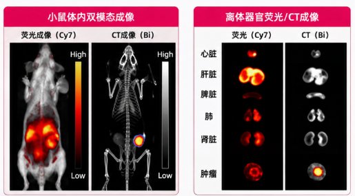 Cy5/Cy7荧光标记Bi₂S₃纳米探针定制：多功能成像平台构建