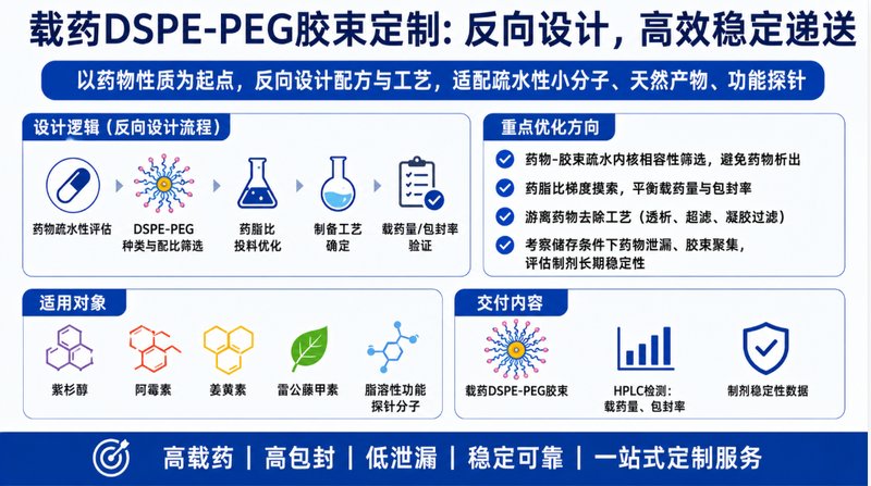 载药型DSPE-PEG荧光胶束定制｜纳米递送与示踪平台开发