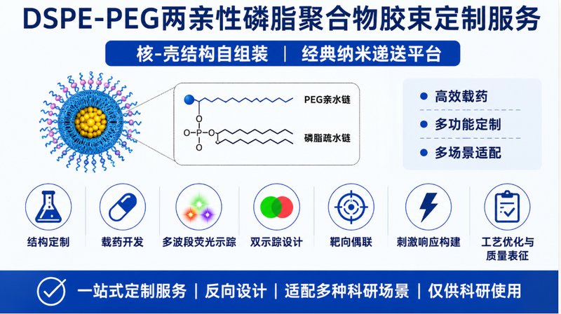 载药型DSPE-PEG荧光胶束定制｜纳米递送与示踪平台开发