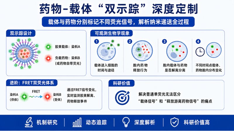 载药型DSPE-PEG荧光胶束定制｜纳米递送与示踪平台开发