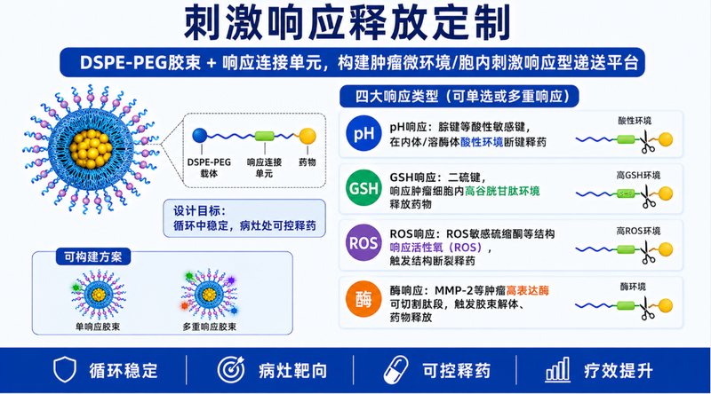 载药型DSPE-PEG荧光胶束定制｜纳米递送与示踪平台开发