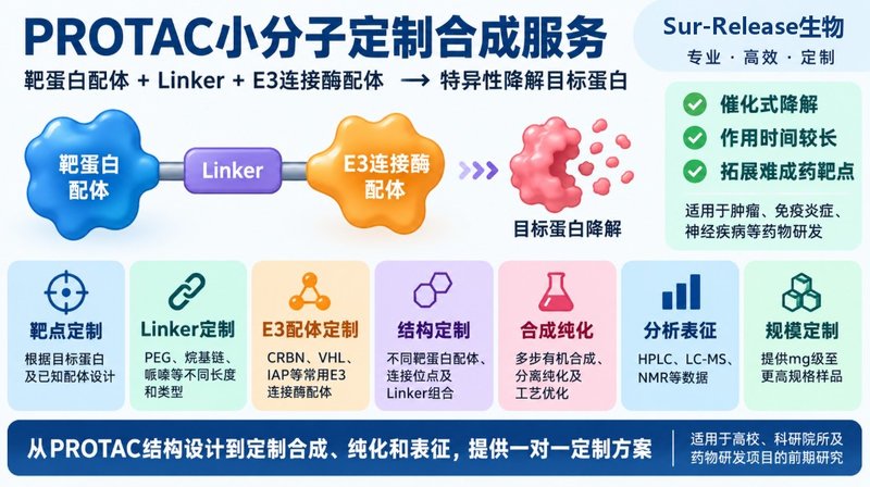 PROTAC定制开发：靶蛋白配体、Linker与E3配体协同设计
