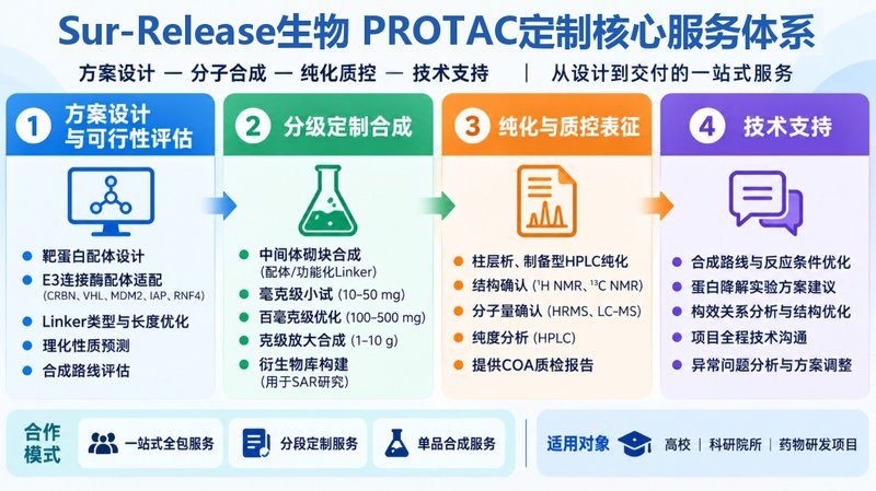 PROTAC定制开发：靶蛋白配体、Linker与E3配体协同设计
