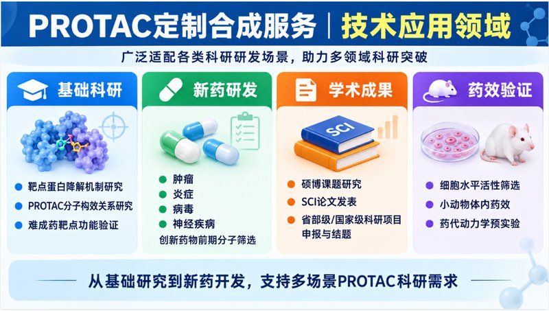 PROTAC定制开发：靶蛋白配体、Linker与E3配体协同设计