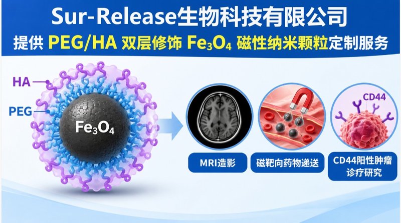 Fe₃O₄磁性纳米颗粒怎么做PEG和HA双修饰定制合成?