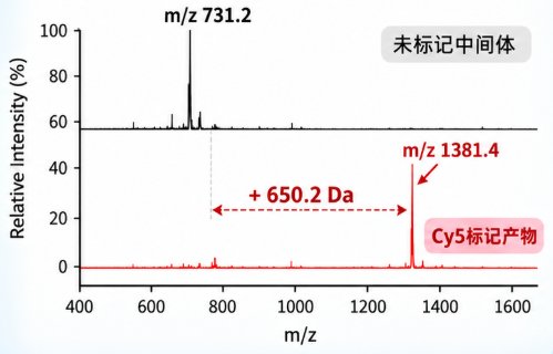 药物中间体荧光功能化定制|多类型染料标记与纯化