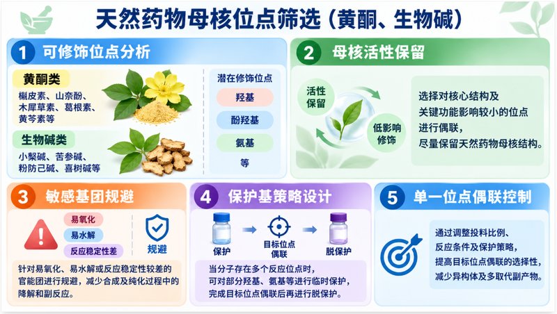 AIE染料水溶性改性与药物偶联定制｜黄酮、生物碱均可设计