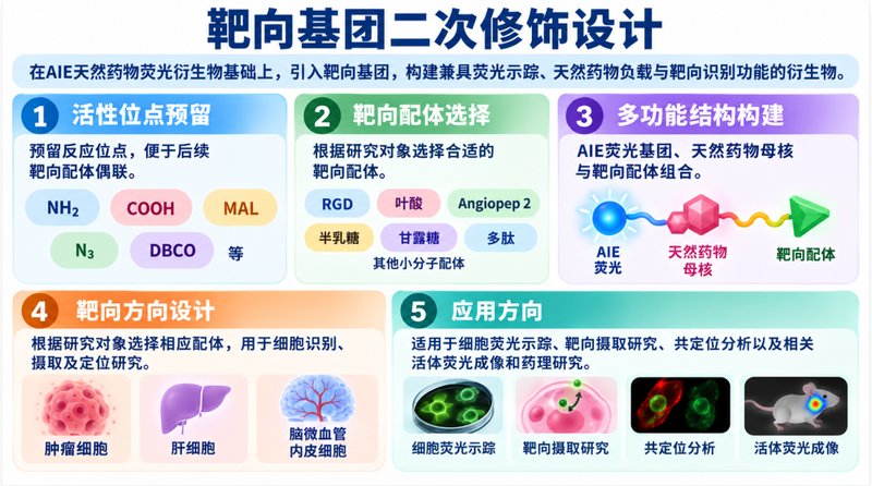 AIE染料水溶性改性与药物偶联定制｜黄酮、生物碱均可设计