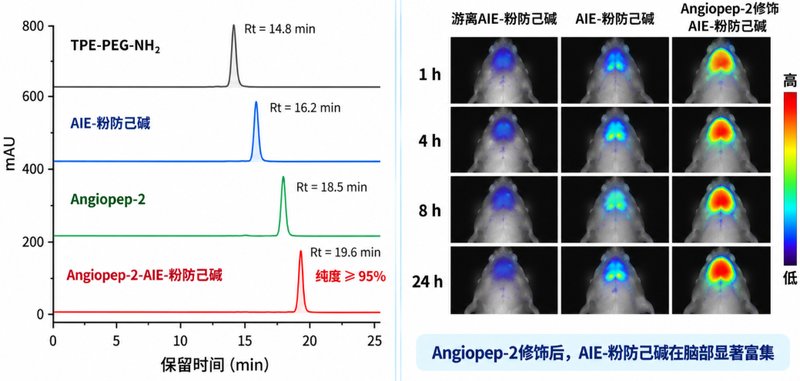 AIE染料水溶性改性与药物偶联定制｜黄酮、生物碱均可设计