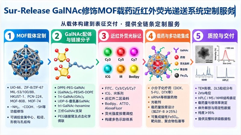 GalNAc如何修饰MOF？载药与近红外荧光递送平台定制
