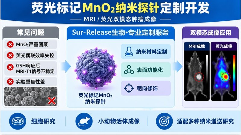 MRI/荧光双模态MnO₂纳米探针定制开发
