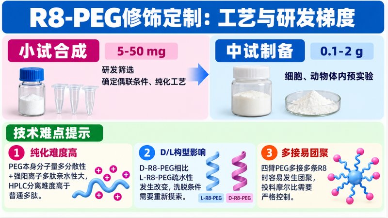 PEG修饰R8多肽定制:阳离子穿膜性能优化