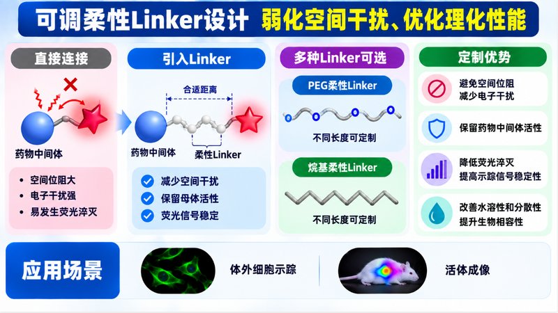 荧光修饰药物中间体定制：位点、Linker与荧光基团协同设计