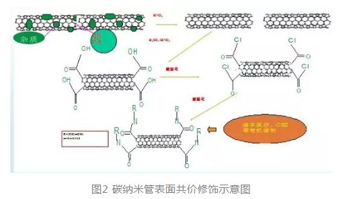 提供碳纳米管的功能化修饰(功能性基团、蛋白、多肽、多糖)定制技术