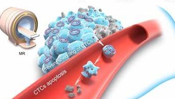 二氧化硅包药定制技术(Silica-Drug Encapsulation)的包载策略与载体类型