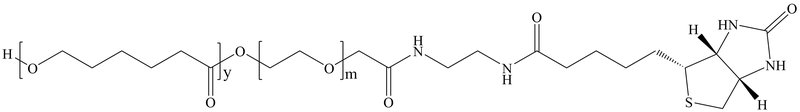 聚己内酯-聚乙二醇-生物素，PCL-PEG-Biotin功能聚合物助力蛋白偶联与活体追踪成像