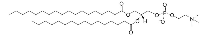 18:0-16:0 PC,CAS:59403-53-1,1-硬脂酸-2-棕榈酰磷脂酰胆碱的实验应用实例