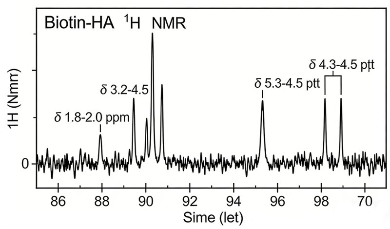 透明质酸（Hyaluronic Acid，HA）的修饰与改性及Sur-Release生物技术服务