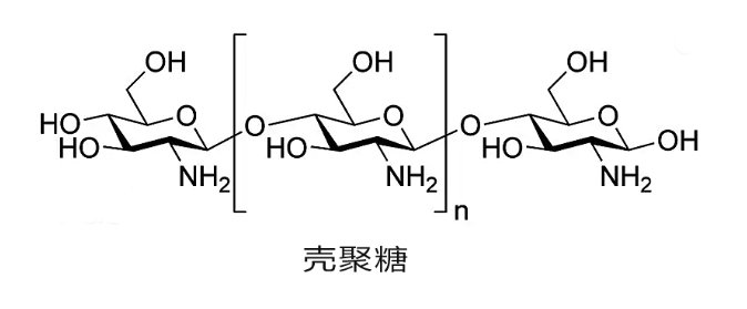壳聚糖的精准修饰与改性技术 —— Sur-Release生物技术服务