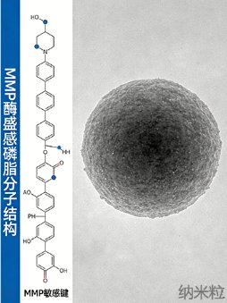 微环境响应磷脂定制服务丨Sur-Release生物技术服务