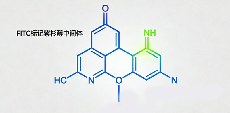 荧光标记药物&中间体定制:方案选择实用参考
