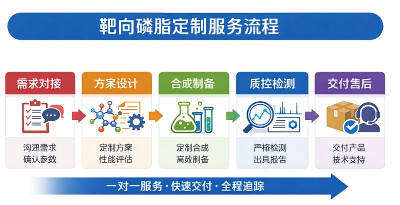 靶向磷脂定制有哪些类型丨不同修饰方式介绍