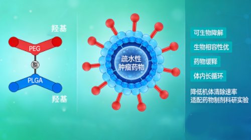 PEG共聚物定制,支持多结构设计与功能修饰