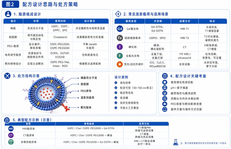 造影脂质体制剂的配方设计，工艺路线解析，分析表征与质量控制服务