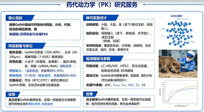 GelMA光固化水凝胶药代 / 药效 / 免疫原性研究--Sur-Release生物技术服务