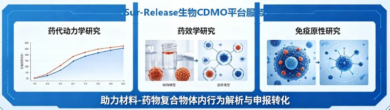 GelMA光固化水凝胶药代 / 药效 / 免疫原性研究--Sur-Release生物技术服务