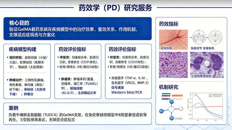 GelMA光固化水凝胶药代 / 药效 / 免疫原性研究--Sur-Release生物技术服务