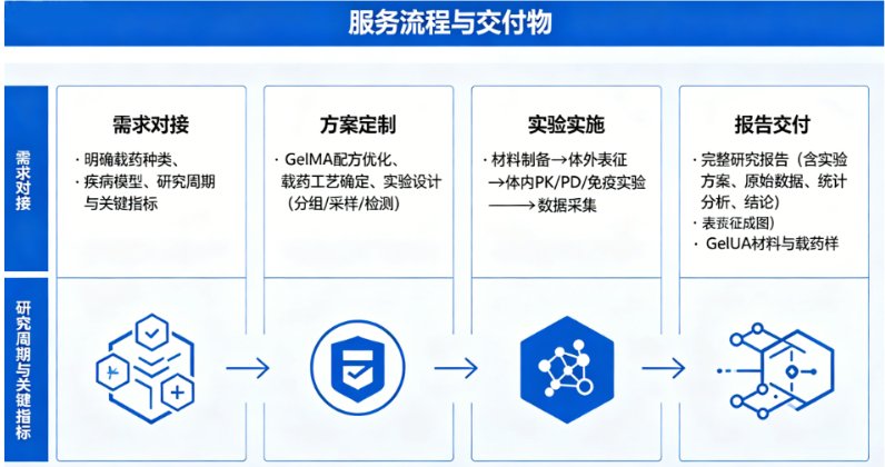 GelMA光固化水凝胶药代 / 药效 / 免疫原性研究--Sur-Release生物技术服务