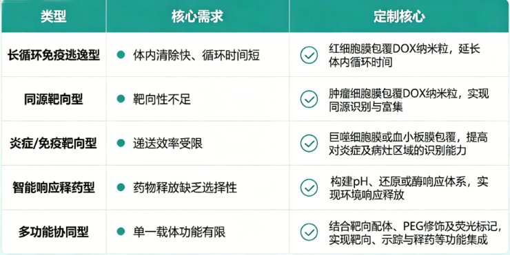细胞膜包覆阿霉素(DOX)载药纳米粒定制合成与制备服务