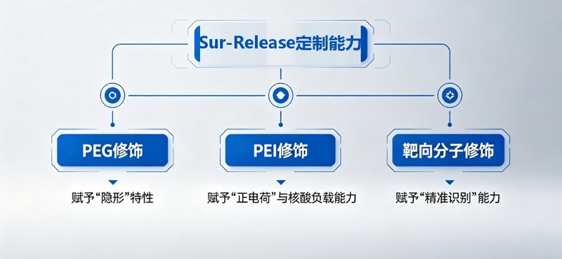 纳米银表面修饰定制服务｜PEG修饰、PEI修饰、靶向分子偶联