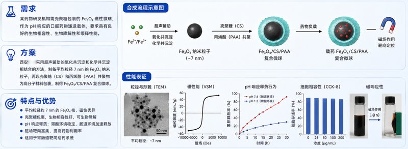 二氧化硅包覆四氧化三铁纳米颗粒（Fe₃O₄@SiO₂）——粒径可控、表面可修饰，支持定制