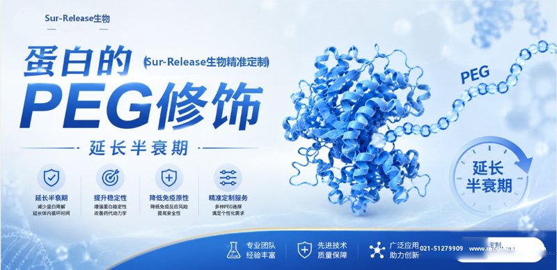 蛋白的PEG修饰：Sur-Release生物技术服务，延长半衰期