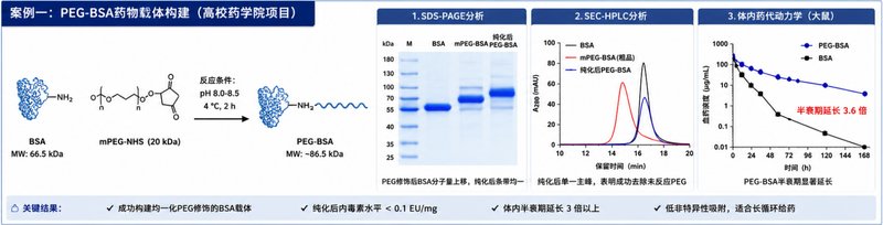 蛋白的PEG修饰：Sur-Release生物技术服务，延长半衰期