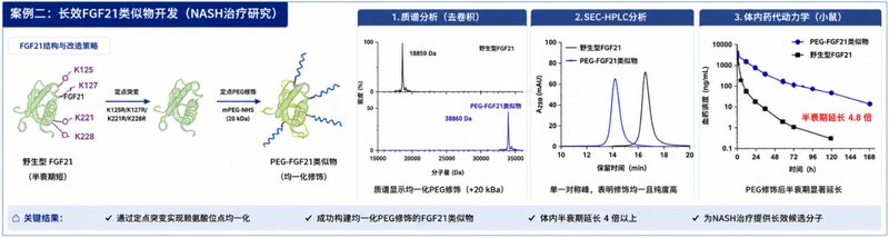 蛋白的PEG修饰：Sur-Release生物技术服务，延长半衰期