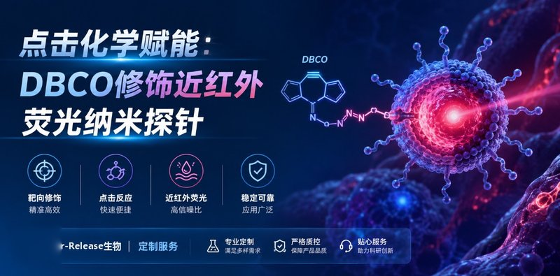 点击化学赋能：DBCO修饰近红外荧光纳米探针（Sur-Release生物技术服务