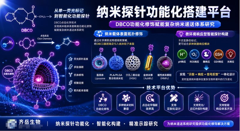 点击化学赋能：DBCO修饰近红外荧光纳米探针（Sur-Release生物技术服务