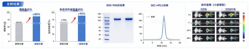 DOTA/DTPA/NOTA靶向活化修饰与生物分子定制偶联服务