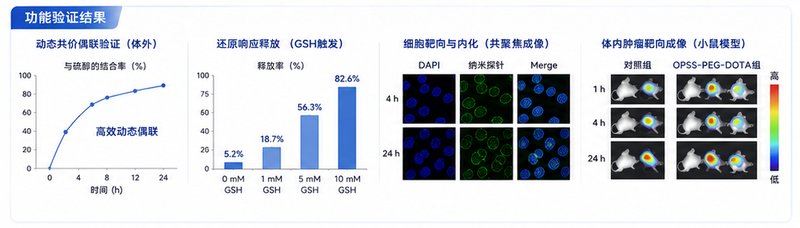 DOTA/DTPA/NOTA靶向活化修饰与生物分子定制偶联服务