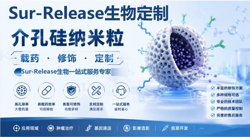 介孔硅纳米粒(载药·修饰·定制)丨Sur-Release生物技术服务