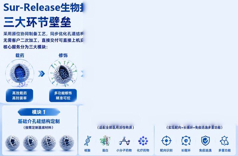 介孔硅纳米粒(载药·修饰·定制)丨Sur-Release生物技术服务